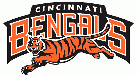Cincinnati Bengals 1997-2003 Wordmark Logo fabric transfer